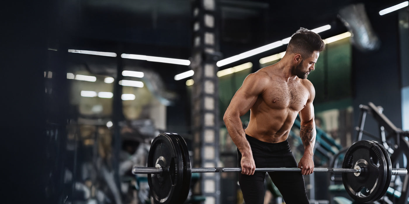 Muscle Building Supplements