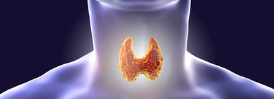 Thyroid Health - Suspicious of your Thyroid?