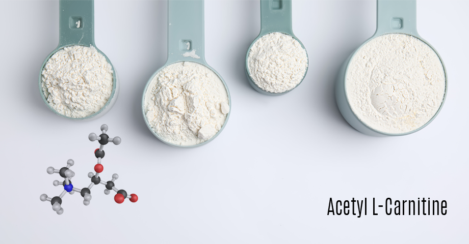 Amino Acids Series - Acetyl L-Carnitine