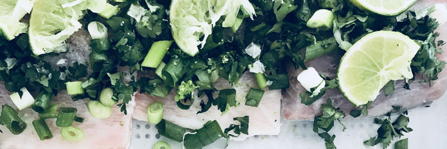 Wild Caught Barramundi in Lime, Coriander and Spring Onions