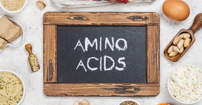 Amino Acids and Your Brain