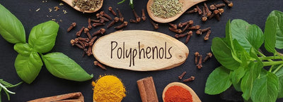 Why We Love Polyphenols