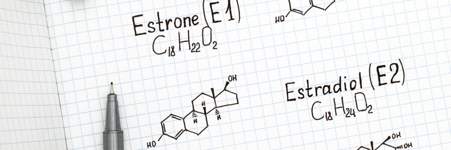 Estrogen 101