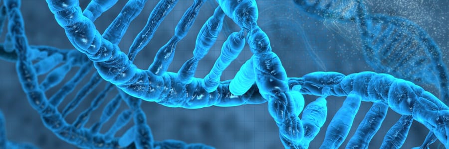 Demethylation and Erasing Epigentic Marks on our DNA