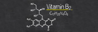 What is Vitamin B2 (Riboflavin)?