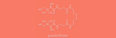 Vitamin B5 - Pantothenic Acid